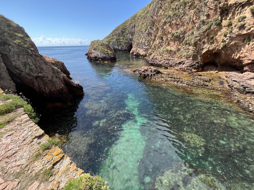 From Lisbon: Berlenga Grande Sightseeing Tour