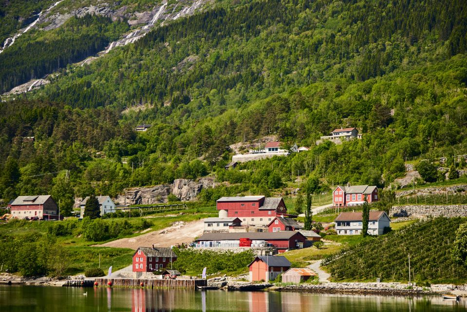 From Lofthus: Hardangerfjord Sightseeing Cruise