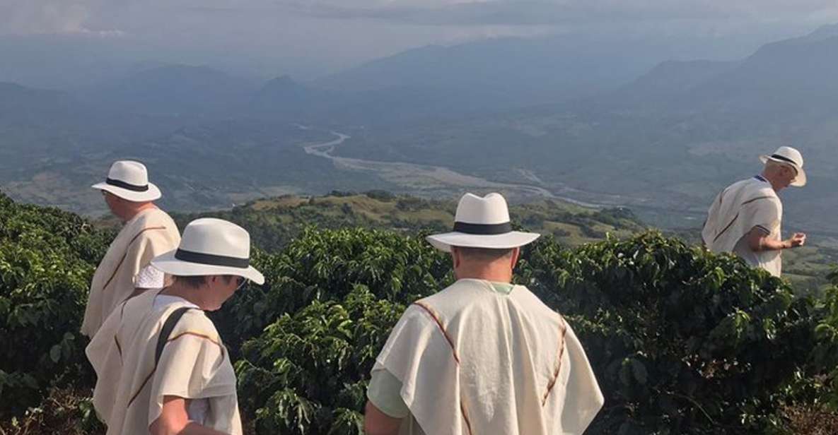 From Medellin: Full Day Fredonia Coffee Private Tour