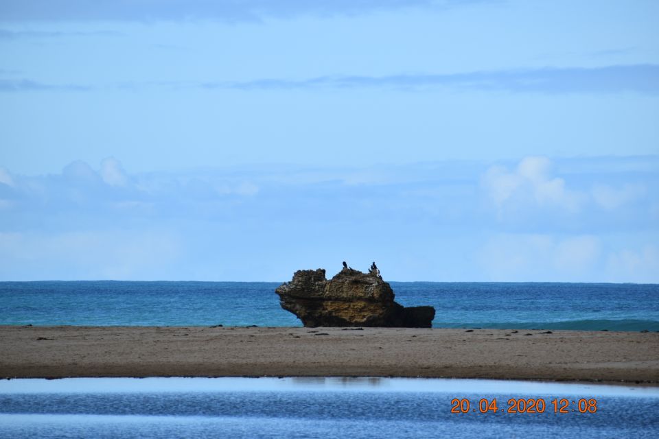 From Melbourne: Great Ocean Road Private Guided Tour by Car