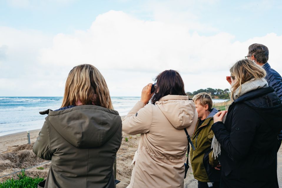 From Melbourne: Penguin Parade, Koalas & Kangaroos