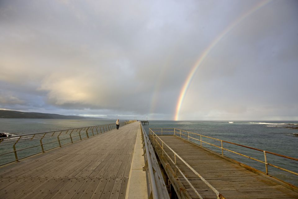 From Melbourne: Private Phillip Island Tour 11-Hour LGBTQ+