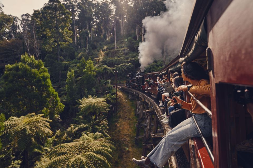 From Melbourne: Puffing Billy & Moonlit Sanctuary Tour - Tour Location and Pricing