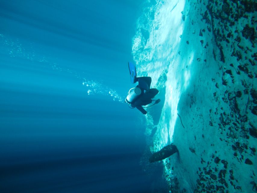 From Merida: Diving in a Cenote