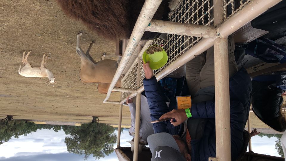 From Mexico City: Teotihuacan Tour & Reino Animal For Kids