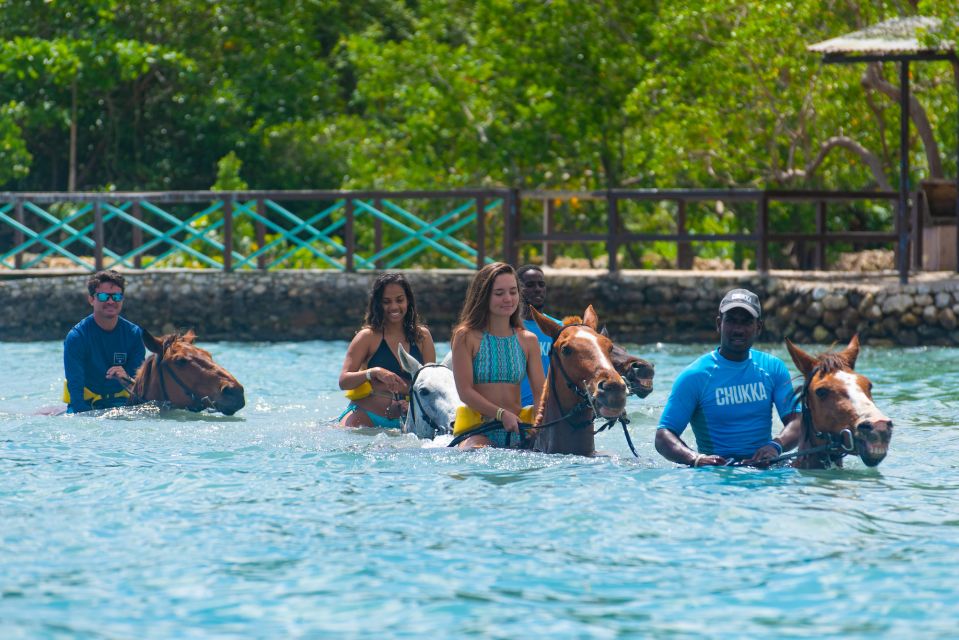 From Montego Bay or Negril: Chukka Horseback Ride and Swim