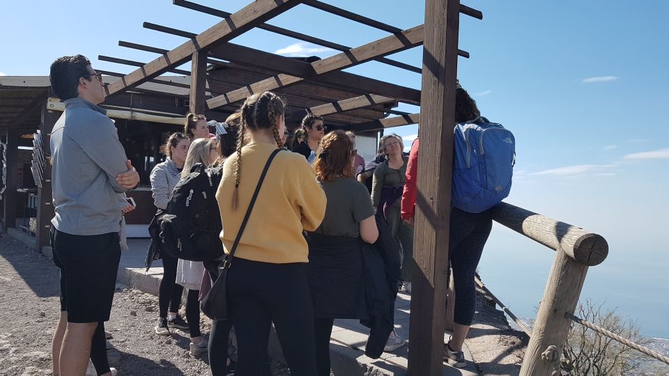 From Naples: Day Trip to Mount Vesuvius With Alpine Guide