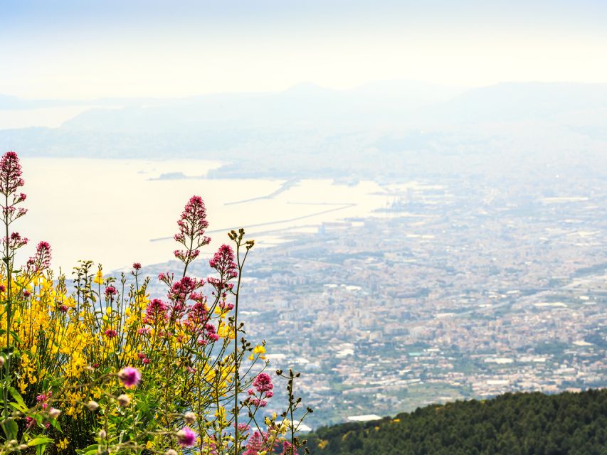 From Naples: Vesuvius Easy Tour