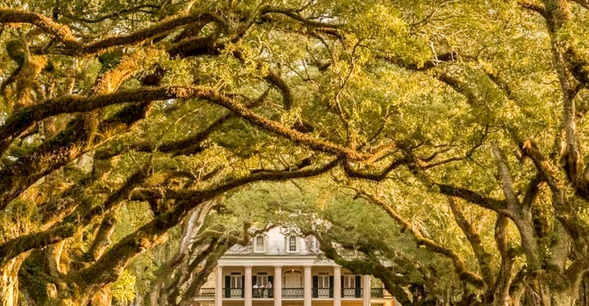 From New Orleans: Oak Alley Plantation Tour