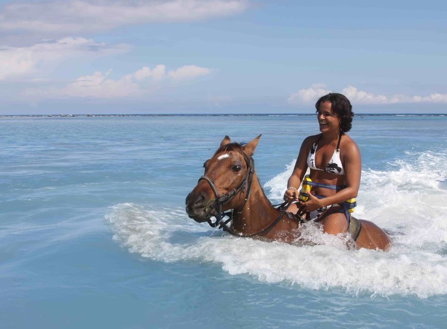 From Ocho Rios: Chukka Horseback Ride and Swim - Panoramic Coastal and Mountain Views