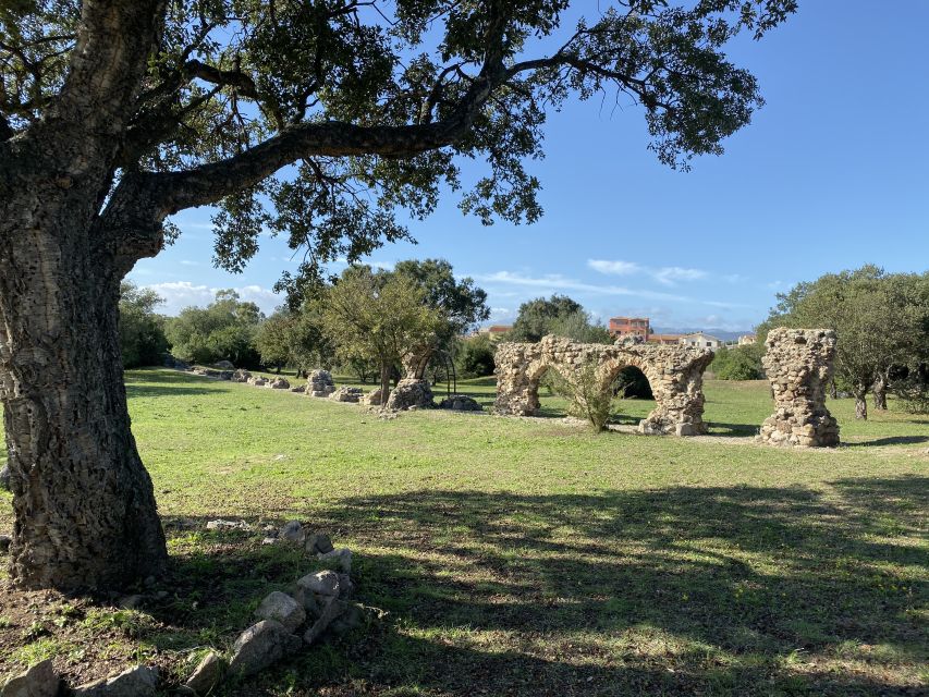 From Olbia: Sardinia Archaeological Tour