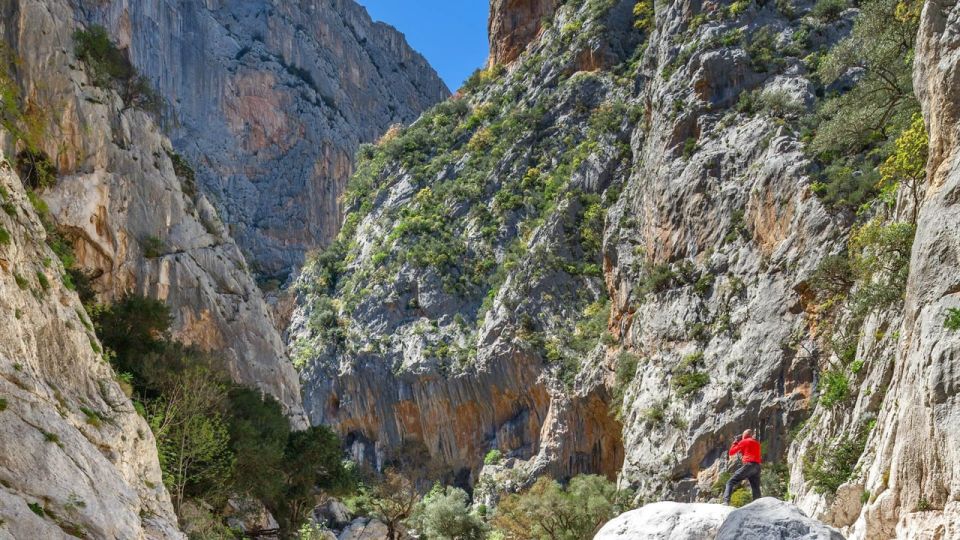 From Orosei or Dorgali: Gorropu Canyon Guided Hiking Tour