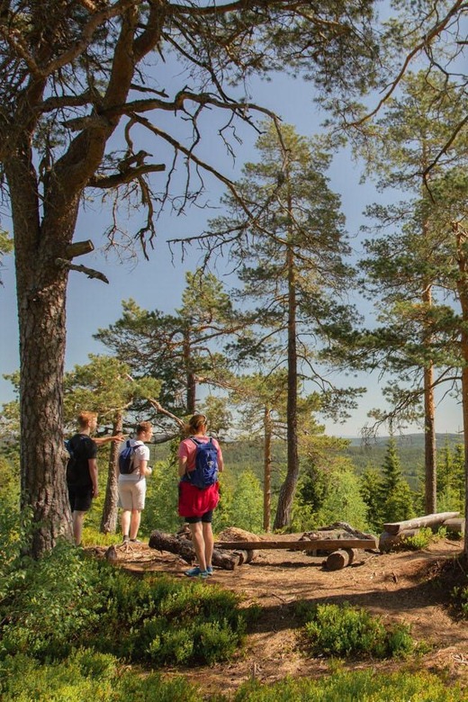 From Oslo: The Nordmarka Challenge! - Overview of the Nordmarka Challenge