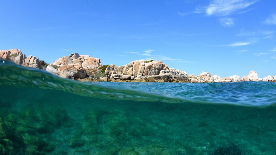 From Palau: South Corsica Trip by Wood Speedboat With Lunch