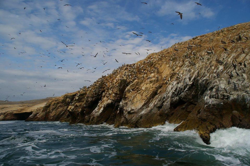 From Paracas: Ballestas Islands & Paracas National Reserve