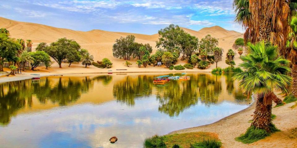 From Paracas | Excursion to Ica and Huacachina - Tour Overview and Pricing