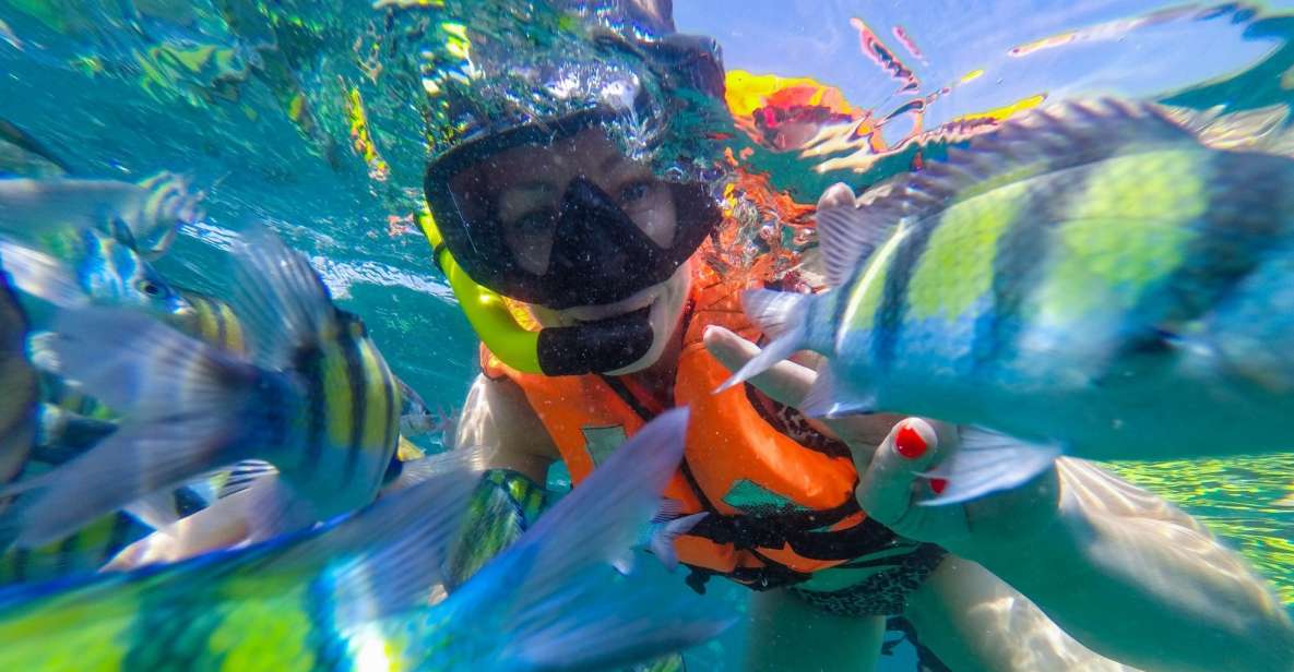 From Phuket: Phi Phi and Maya Bay Snorkeling by Speedboat