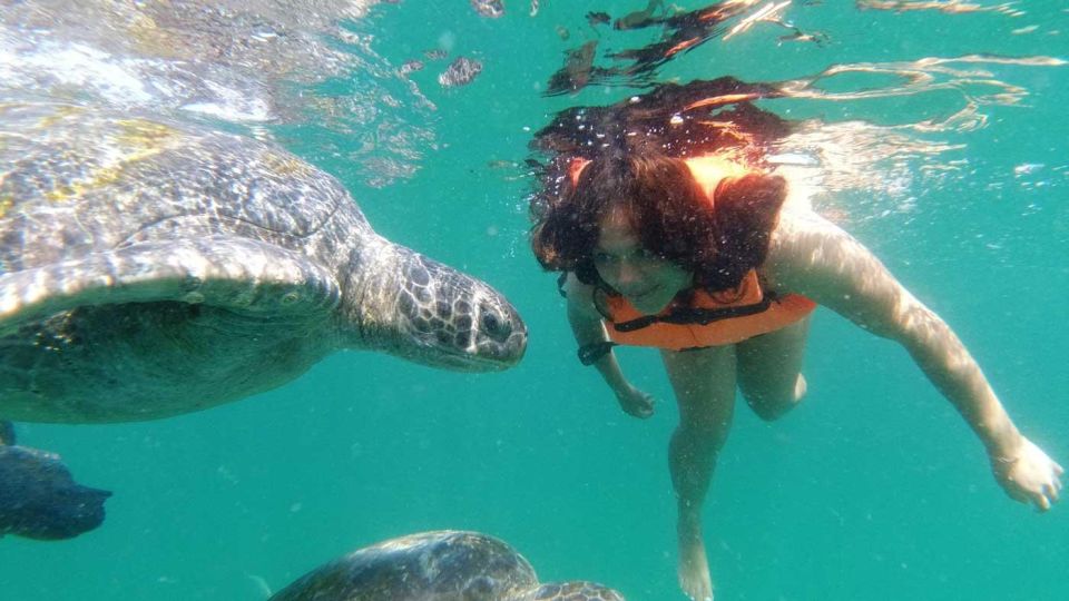 From Piura || Excursion to Mancora + Swimming With Turtles