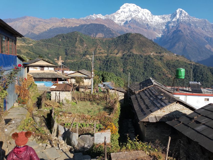 From Pokhara: 5 Day Annapurna Base Camp Trek