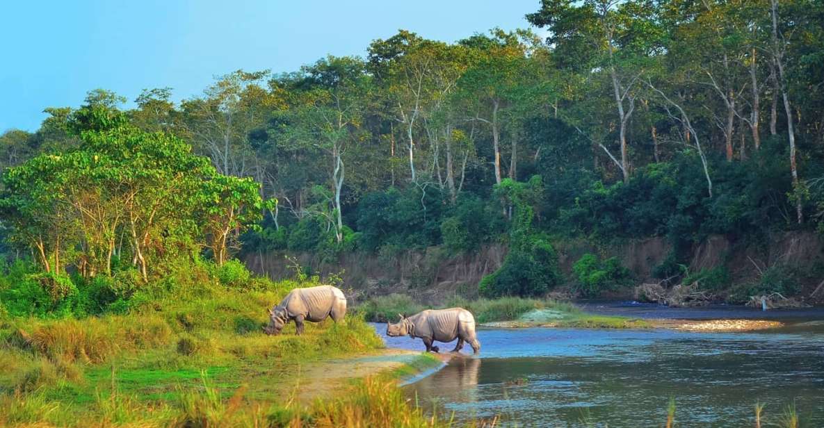 From Pokhara: Private 3-Day Chitwan Jungle Safari Tour