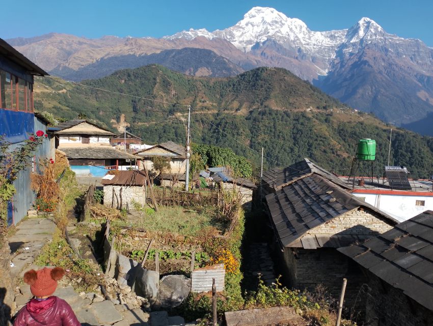 From Pokhara: Private 5-Day AnnapurnaBasecamp Trek