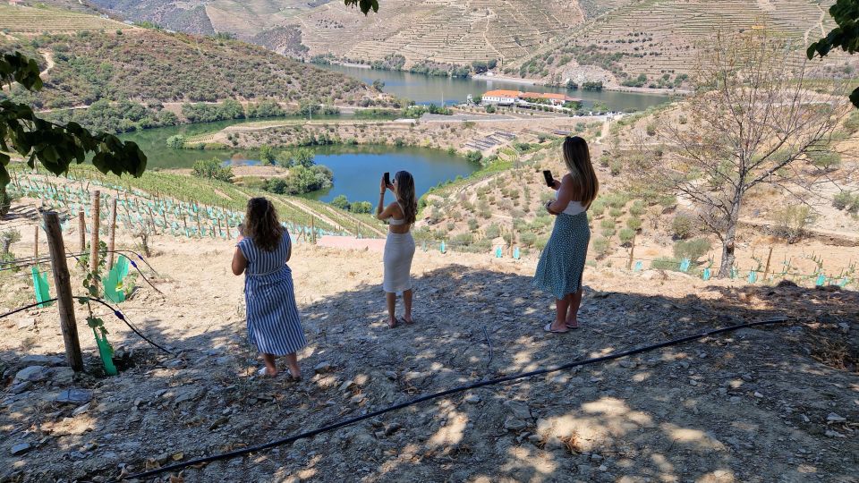 From Porto: Douro Valley Wine Tasting Tour With Hotel Pickup