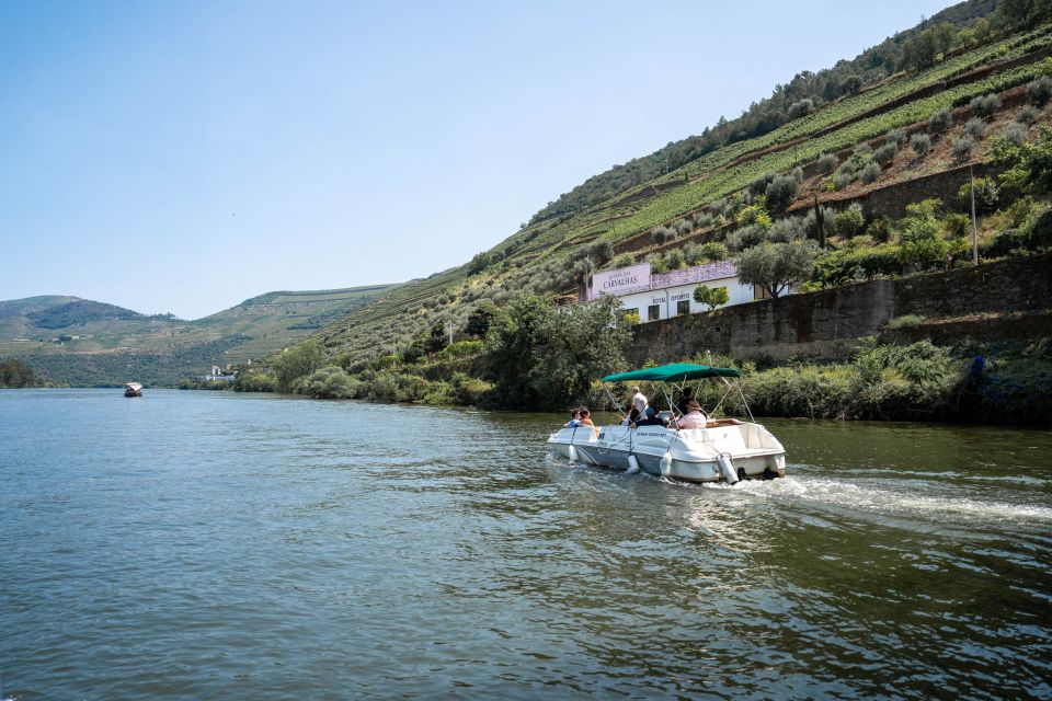 From Porto: Douro Valley Wine Tour With 3-Course Lunch