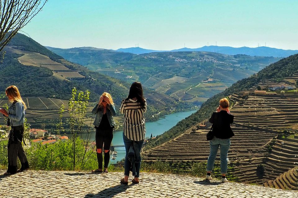 From Porto: Douro Valley Wine Tour With River Cruise & Lunch