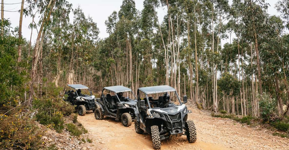 From Porto: Off-Road Buggy Adventure