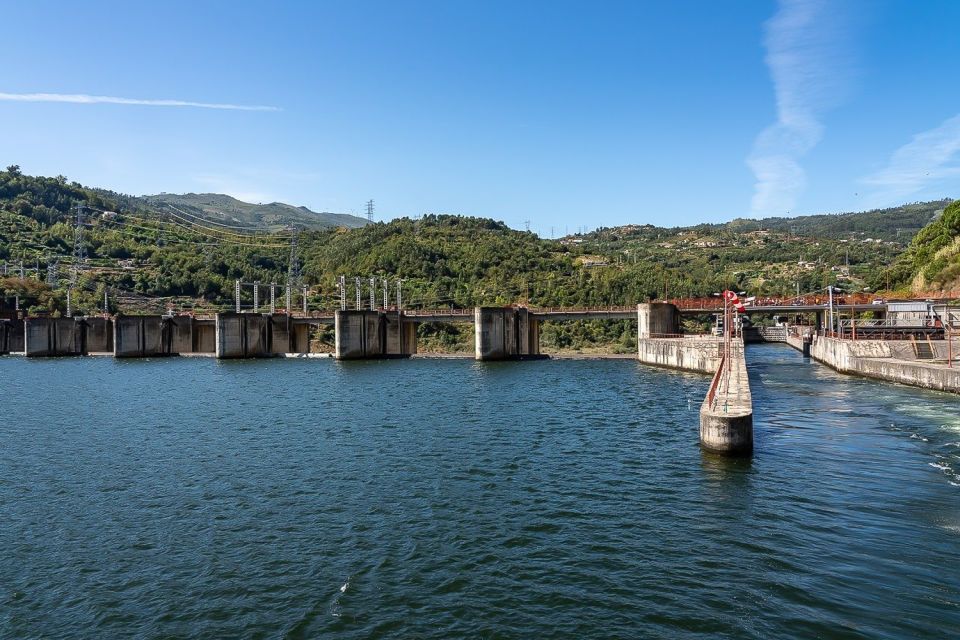 From Porto: Pine Nut and Douro Valley Scenic Boat Tour