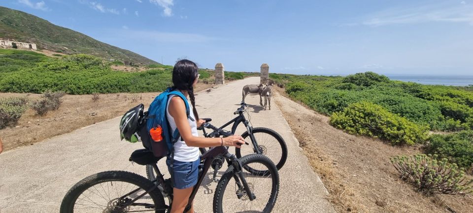 From Porto Torres: E-Bike Rental