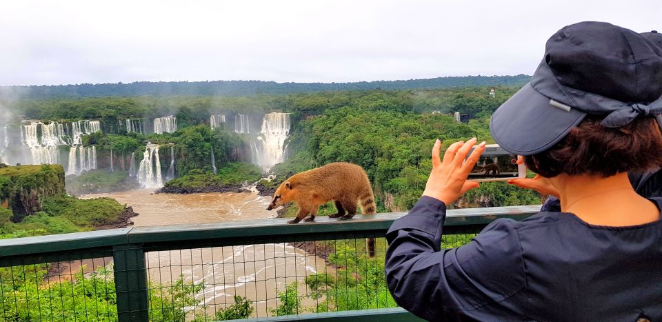 From Puerto Iguazu: Brazilian Side of the Falls With Ticket - Overview of the Tour