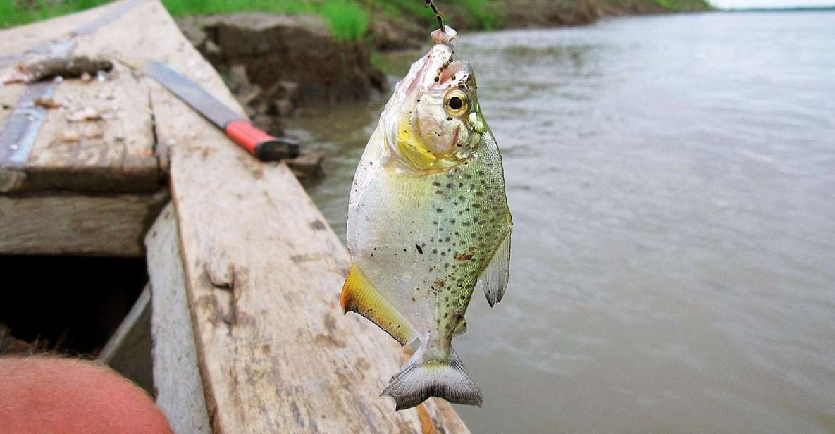 From Puerto Maldonado || Piranha Fishing and Parrot Watching