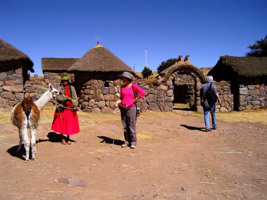 From Puno: Sillustani Tombs and Tourist View Point Puma