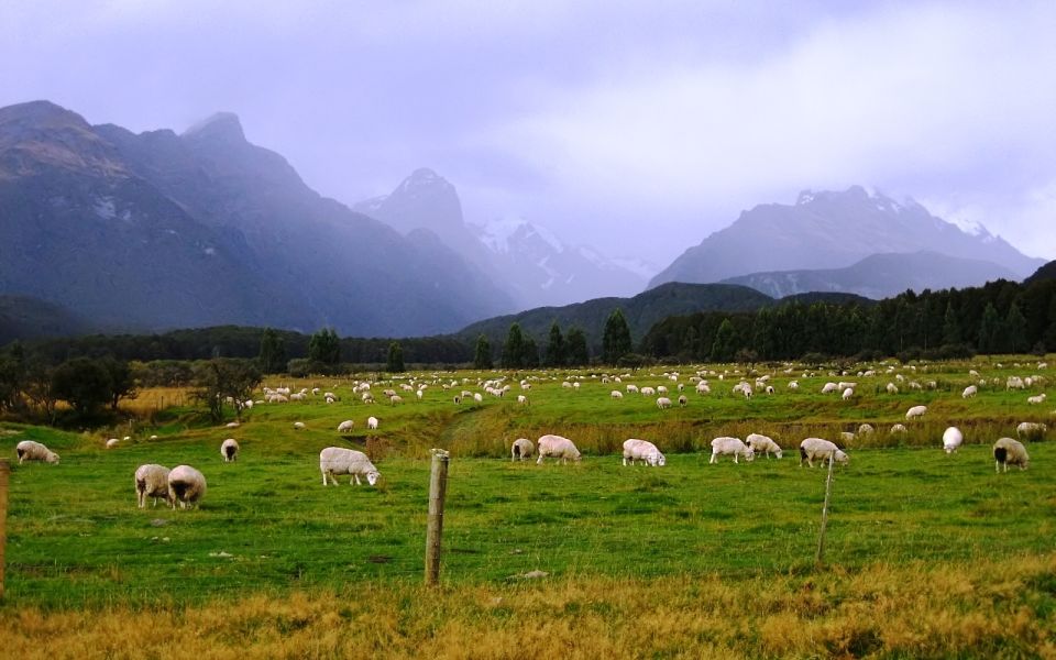 From Queenstown: Lord Of The Rings Tour to Glenorchy