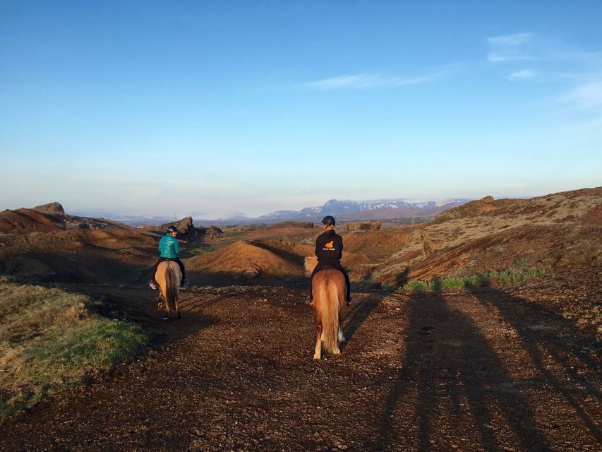 From Reykjavik: Evening Horseback Tour With Transfer