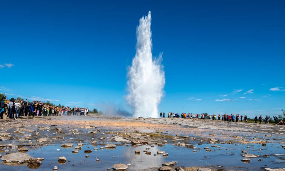 From Reykjavik: Full Day Whale Watching & Golden Circle Tour