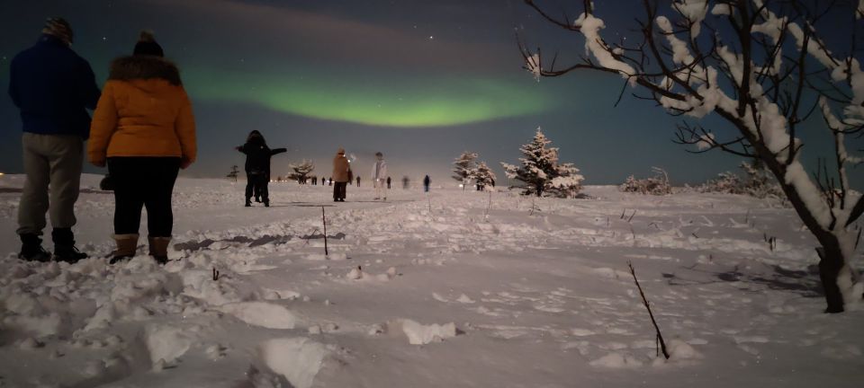 From Reykjavik: Northern Lights Tour - Itinerary Details