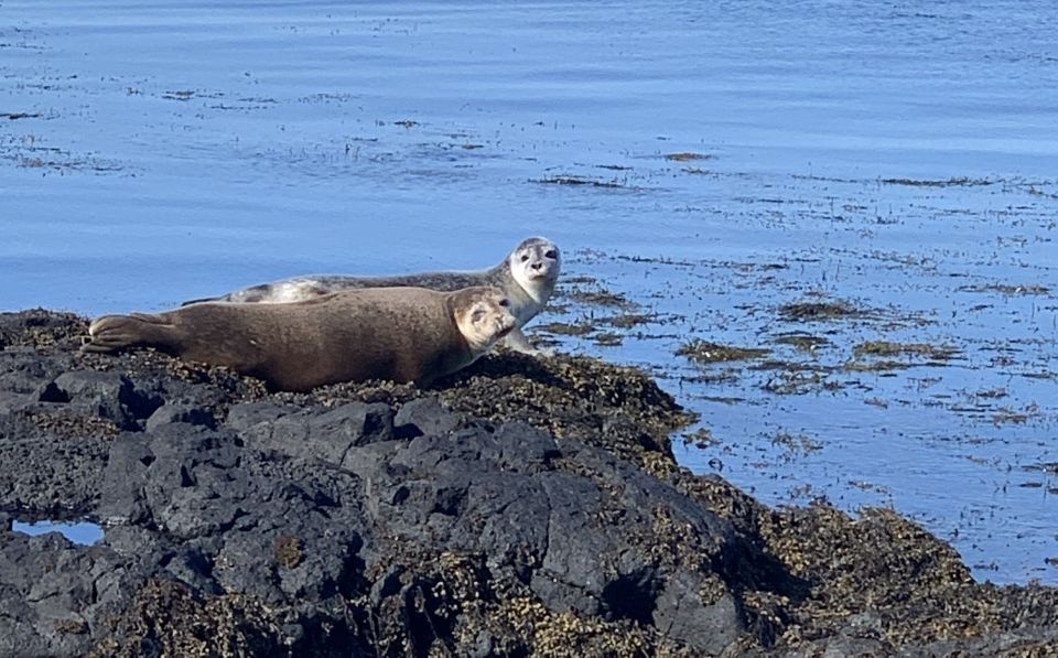 From Reykjavik: Snæfellsnes Peninsula Private Day Tour