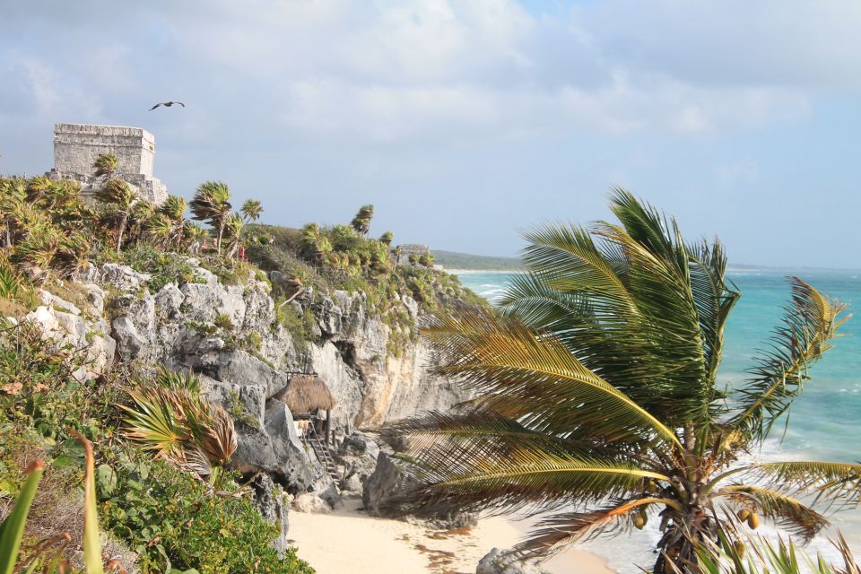 From Riviera Maya : Tulum Ruins, Cenotes & Jungle Adventure