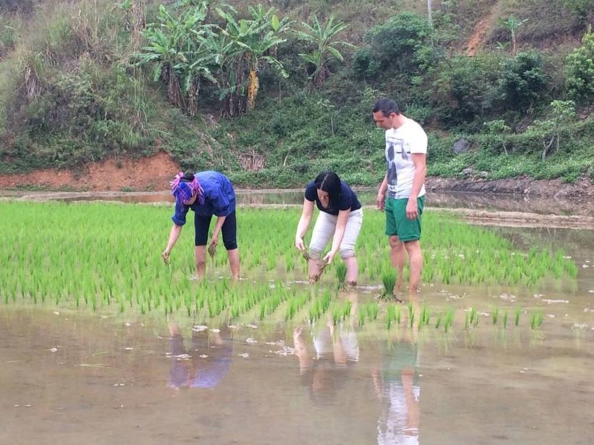 From Sa Pa: 5-Hour Muong Hoa Valley Trek and Ethnic Tribes - Trek Overview