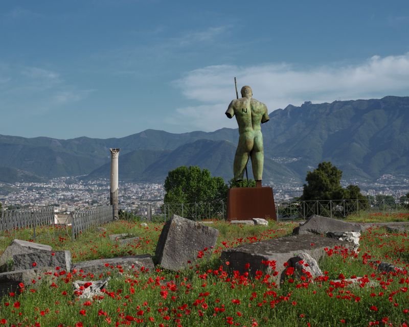 From Salerno: Pompeii Guided Walking Tour With Ticket