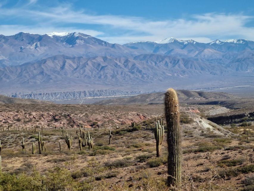 From Salta: 2-Day Guided Trip to Cafayate and Cachi