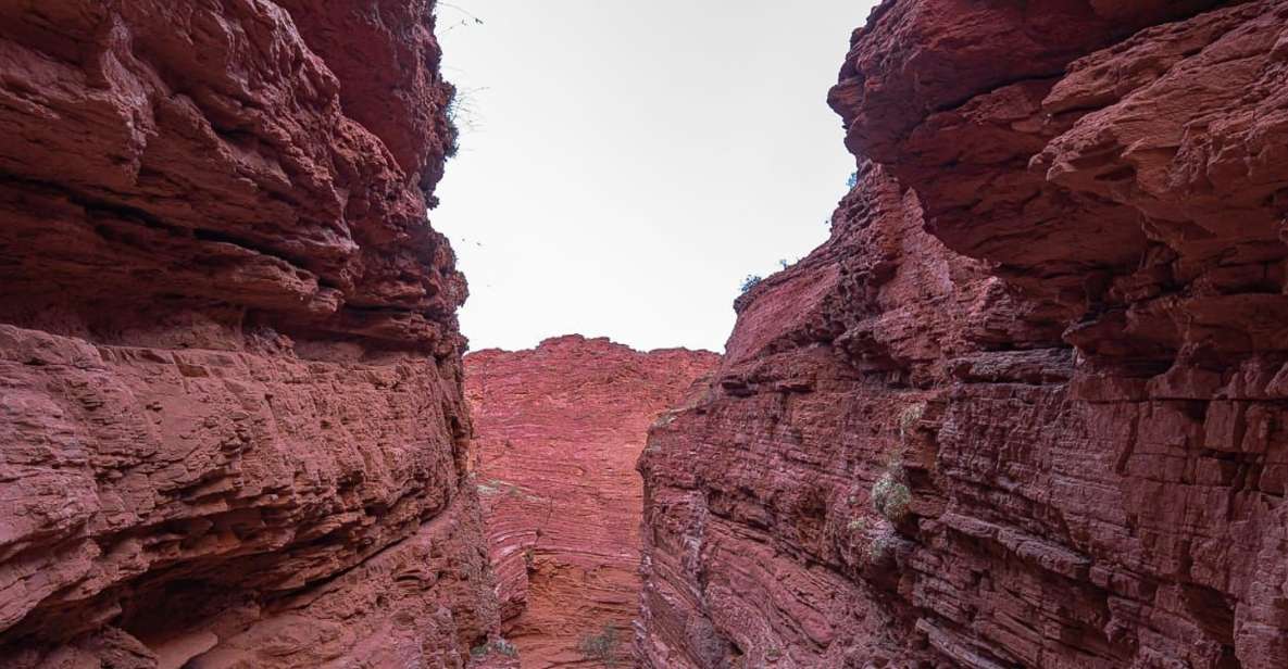 From Salta: 2 Day Guided Trip to Cafayate & Salinas Grandes