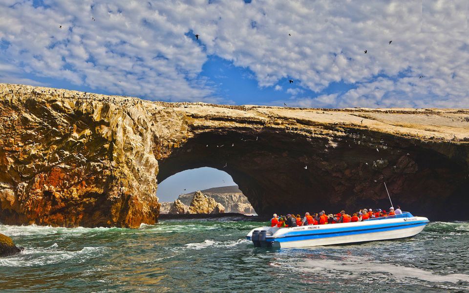 From San Martin Port: 2-Hour Ballestas Island