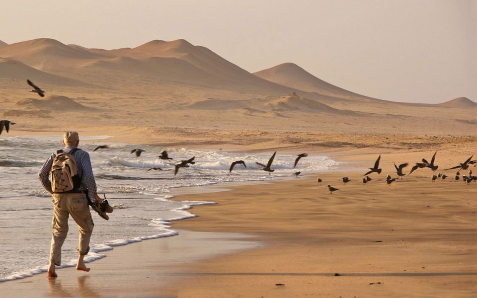 From San Martin Port: 3-Hour Paracas Reserve Tour