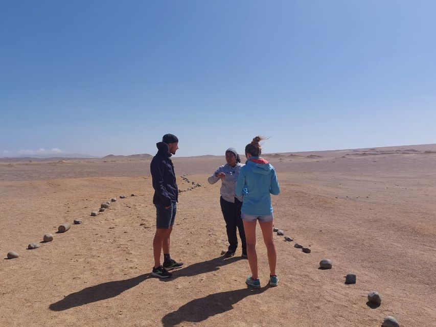 From San Martin Port: Ballestas Island & Paracas Reserve