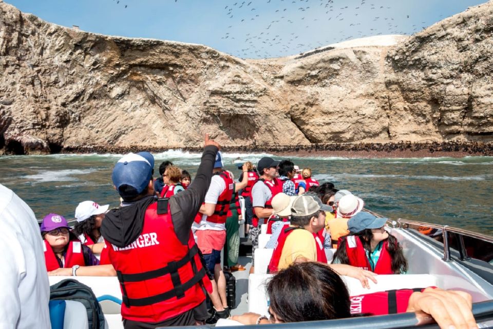 From San Martin Port: Ballestas Islands Tour in Paracas - Overview of the Tour