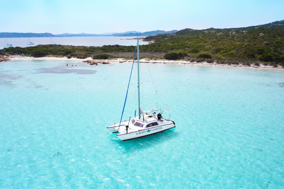 From Santa Teresa Gallura: The Maddalena Catamaran Tour