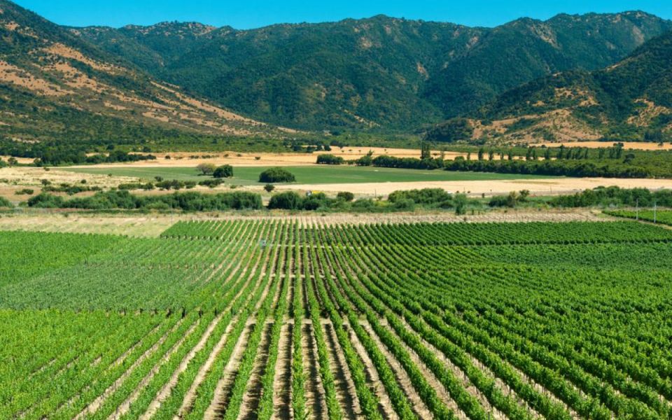 From Santiago: Private Colchagua Valley Wine Tour W/ Tasting